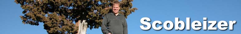 Scobleizer Weblog